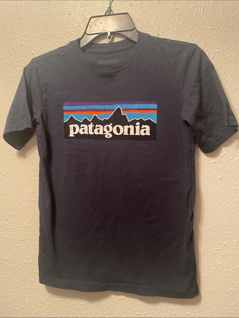 Patagonia Navy Short Sleeve Logo Tee with Multicolor Mountain Stripe